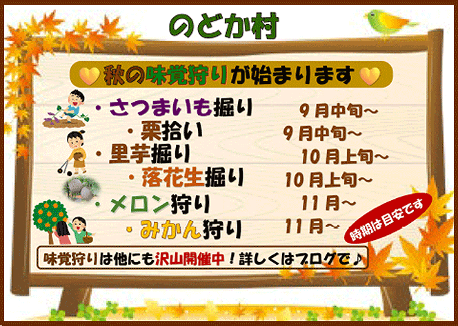 秋の味覚狩りが始まります