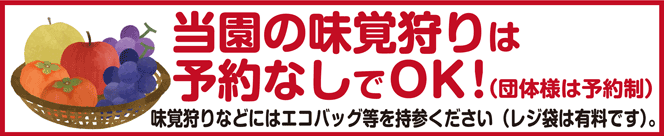 当園の味覚狩りは予約なしでOK!